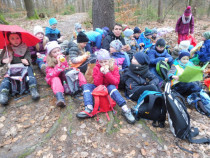 Wandern in Wehlen
