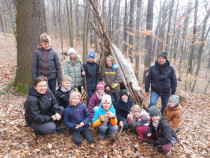 Waldtag in der Viehleite